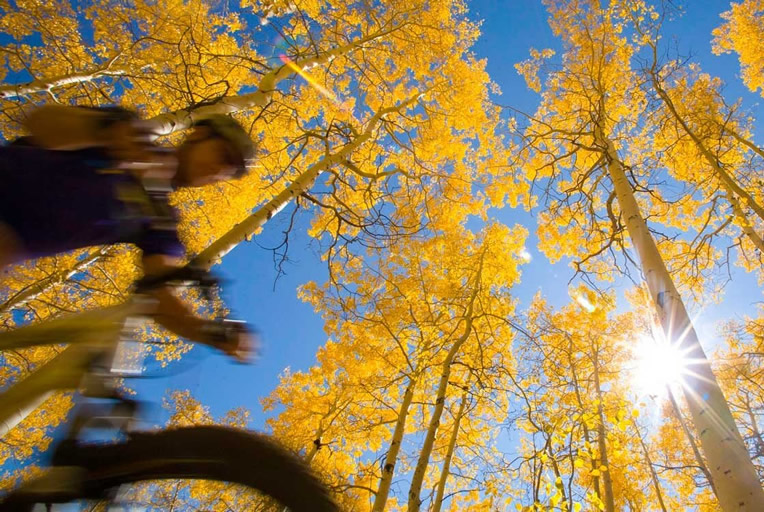 Best Hikes in Vail in the Fall