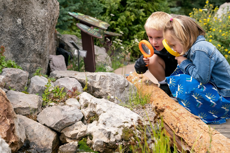 Betty Ford Alpine Gardens