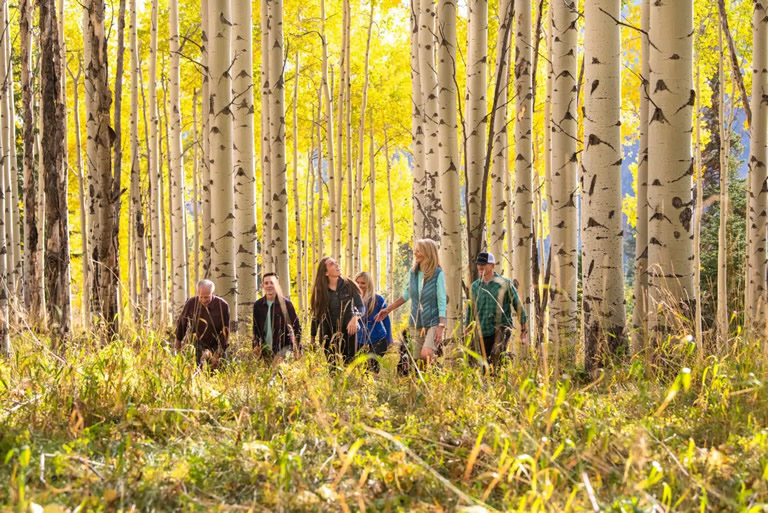 Discover Vail’s Most Breathtaking Fall Hikes: Trails You’ll Remember
