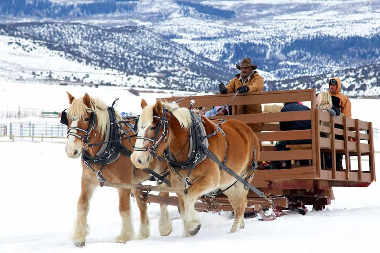 Sleigh Rides in Vail, Colorado
