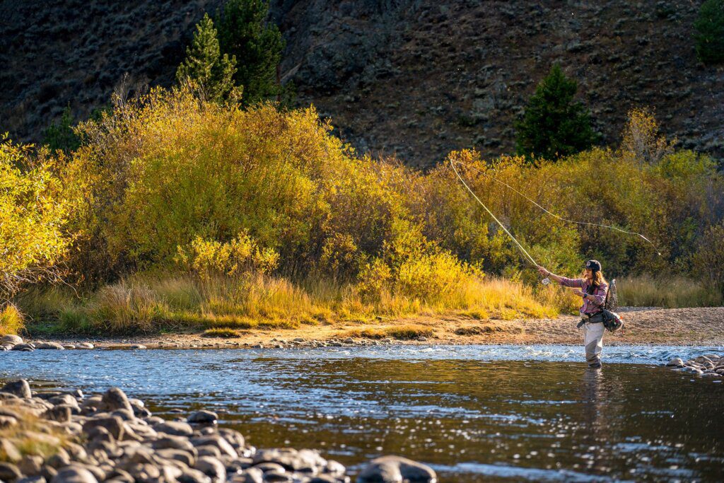 Experience Autumn in Winter Park: 7 Essential Fall Activities