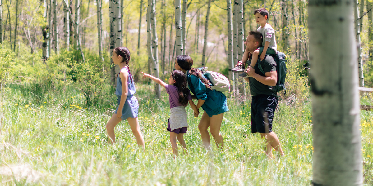 Discover the Natural Beauty of Vail One Trail at a Time